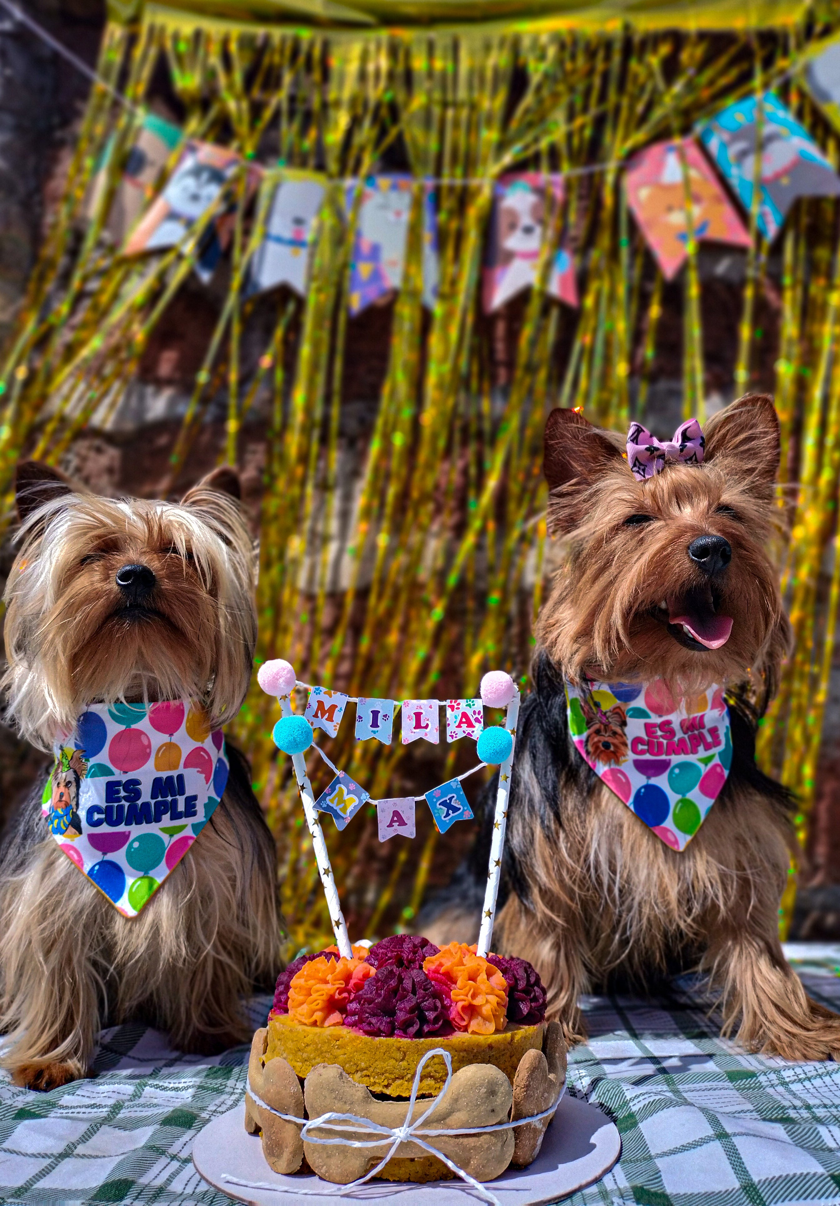 CUMPLEAÑOS Y ADOPCIONES 🤩