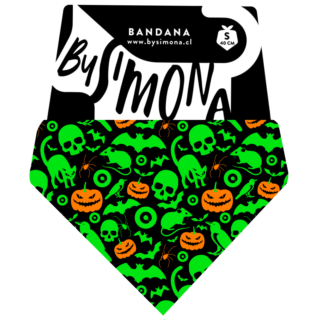 Bandana con Collar Night 🎃