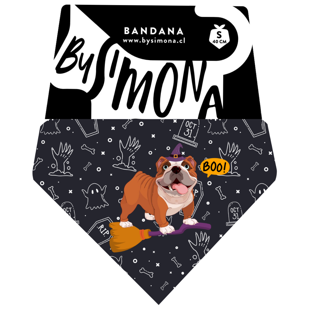 Bandana con Collar Bully 🎃