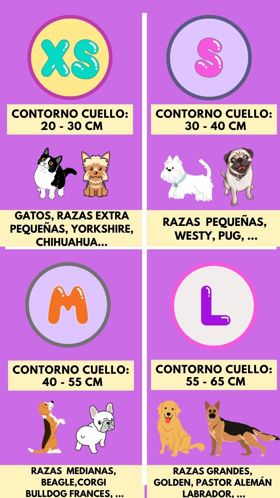 CHILENO DE CORAZÓN 💖