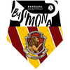 Gryffindor  🪄