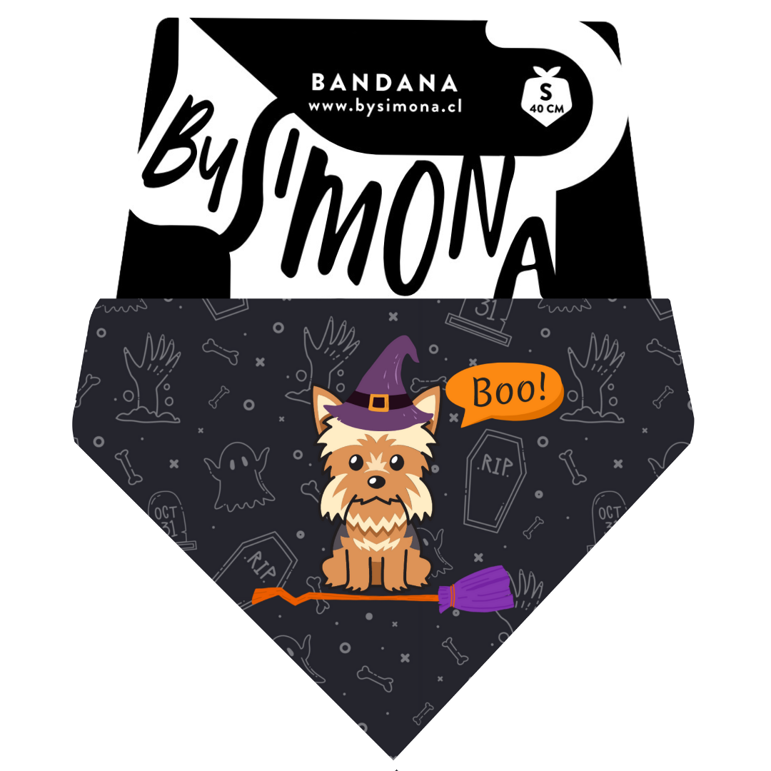 Bandana con Collar YORK 🎃