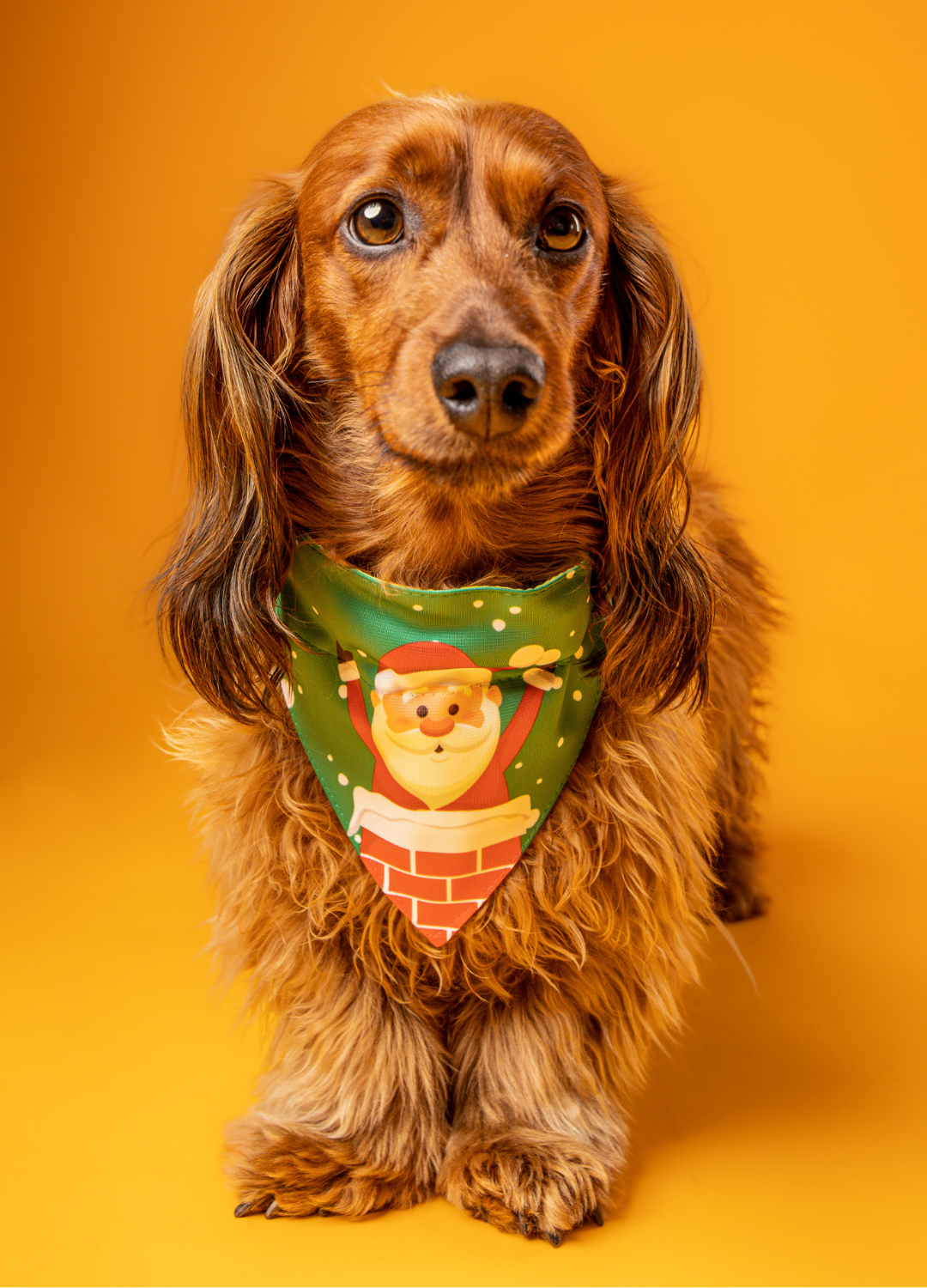 Bandana con Viejito Pascuero 🎅