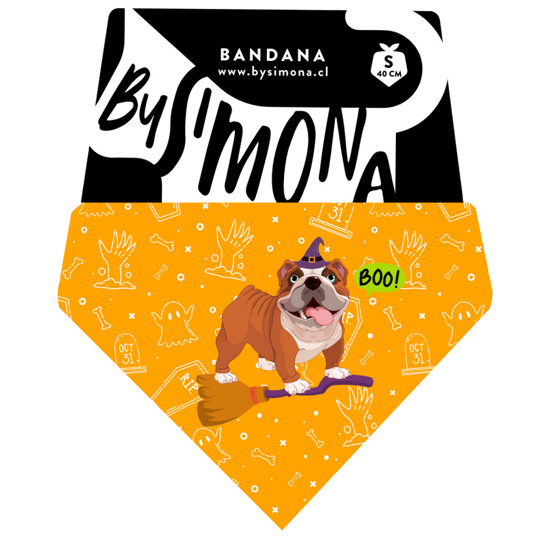 Bandana con Collar Bully 🎃