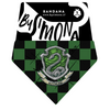 Slytherin🪄