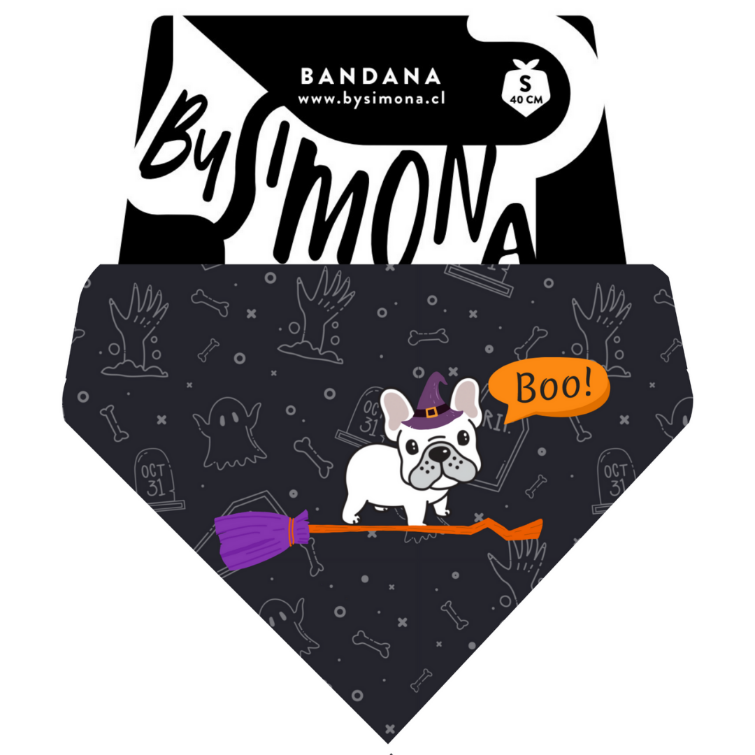 Bandana con Collar Frenchie 🎃