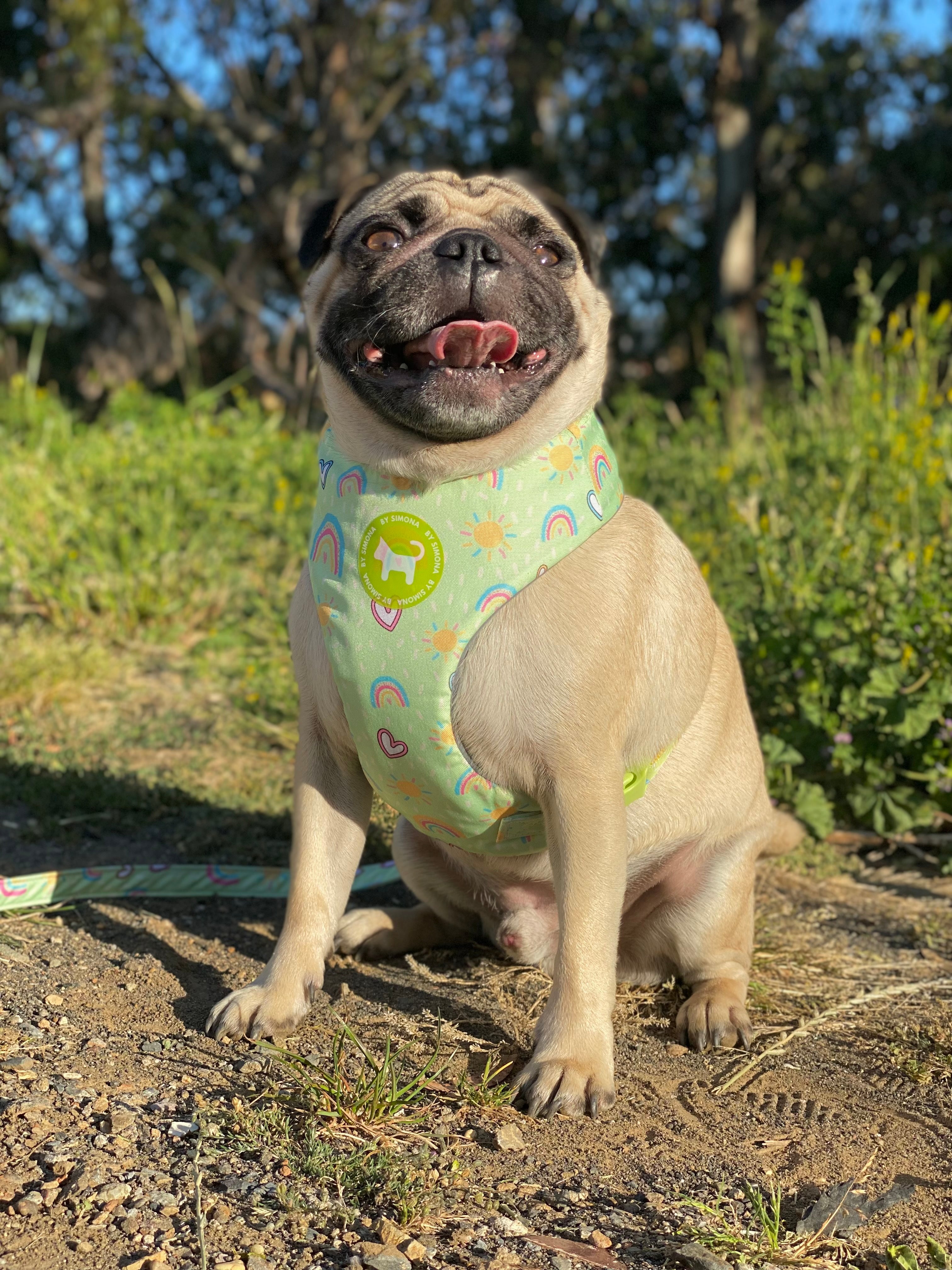 ARNÉS TIPO PECHERA RAINBOW🌈