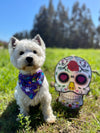 Bandana con Collar Halloween Friends