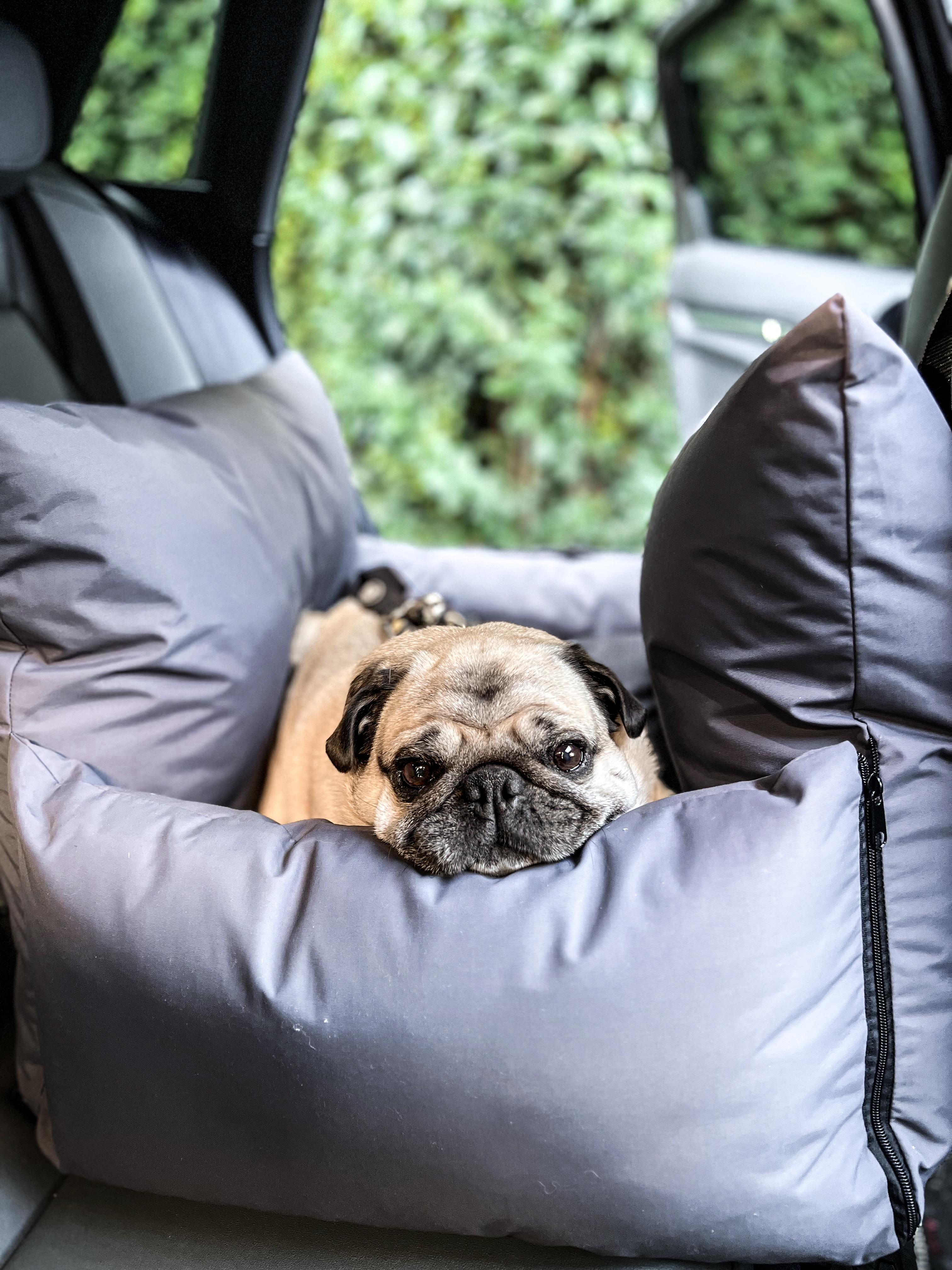 CAMA / TRANSPORTADOR DE AUTO 2 EN 1 🚗