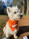 Bandana con Collar Westie 🎃