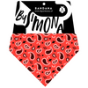 Bandana para Mascotas PASLEY