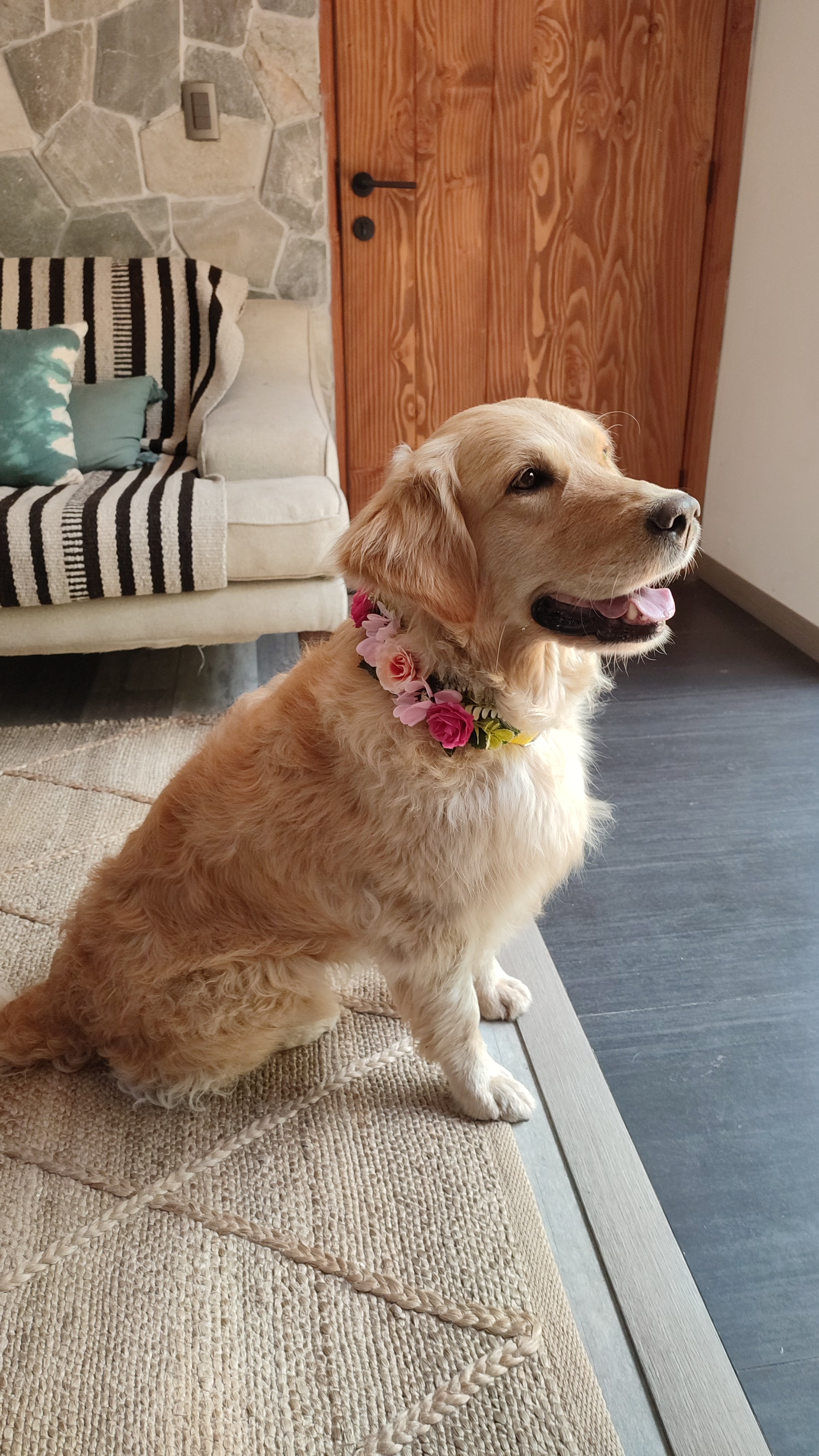 Collar de Flores 🌸